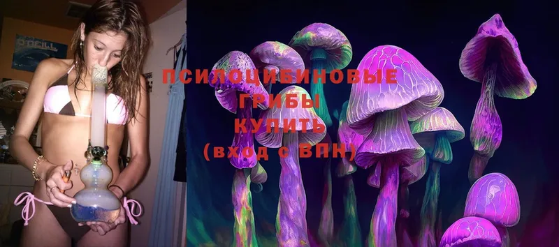 Галлюциногенные грибы MAGIC MUSHROOMS  дарнет шоп  Пудож 